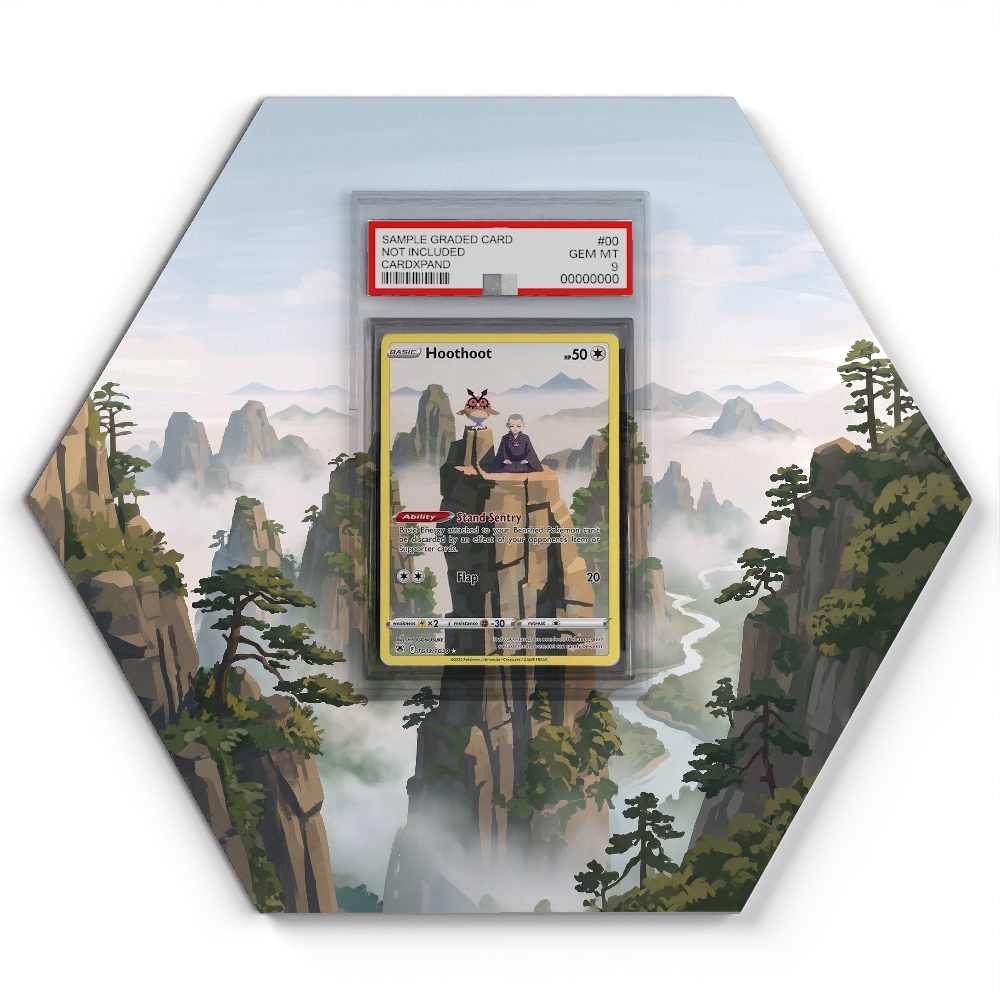 TG12/TG30 Hoothoot - Extended Artwork Pokemon Card Display