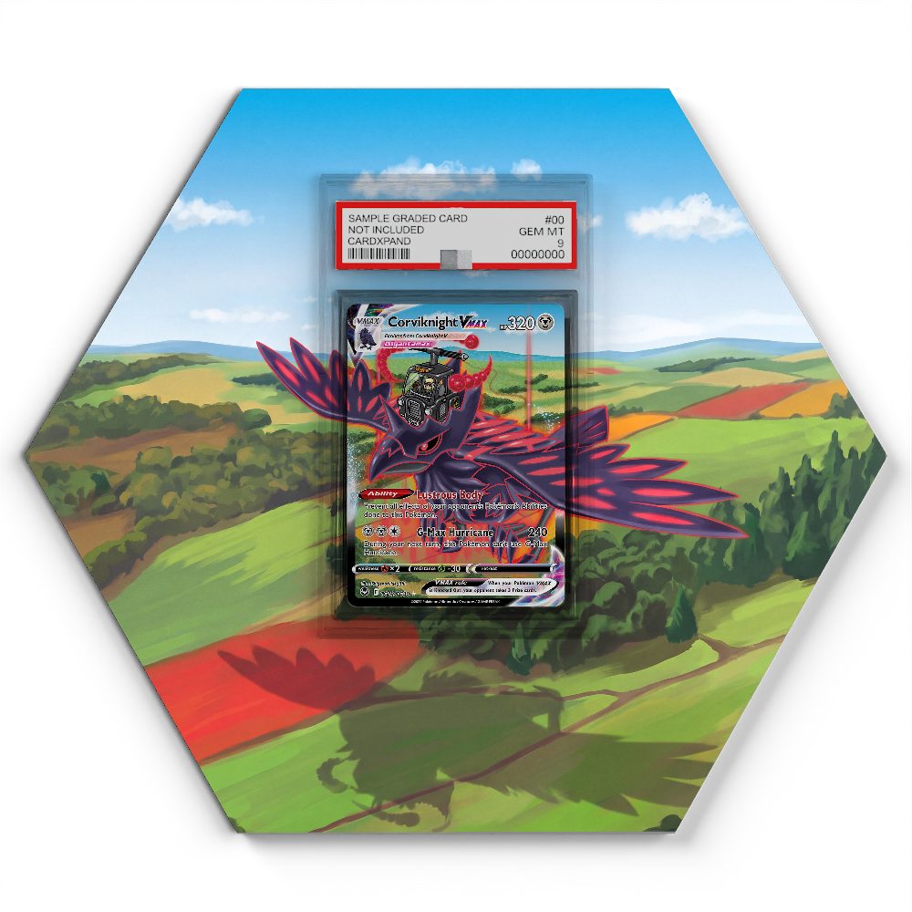 TG19/TG30 Corviknight VMAX - Extended Artwork Pokemon Card Display